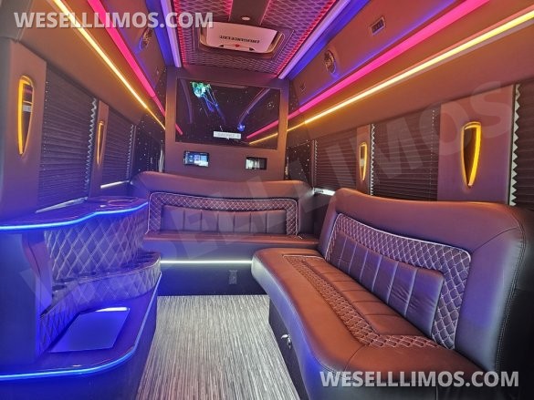2023 Global Motor Coach Ford Transit Limo - Only 2,900 Miles