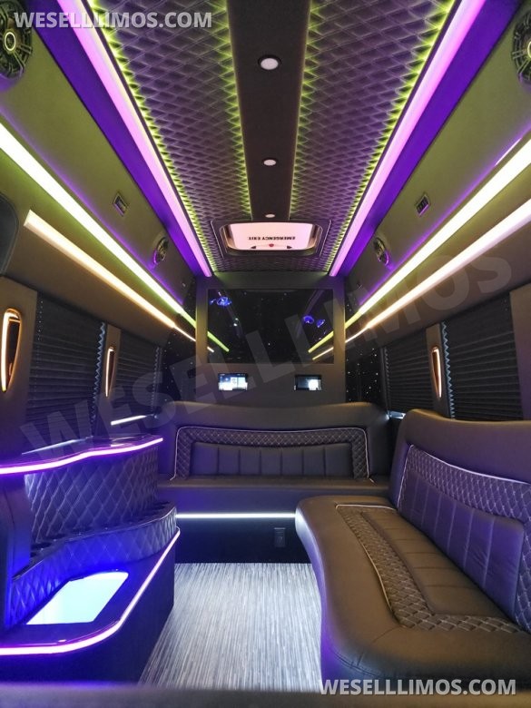 2023 Global Motor Coach Ford Transit Limo - Only 2,900 Miles