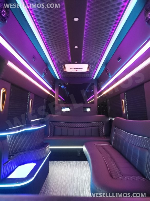 2023 Global Motor Coach Ford Transit Limo - Only 2,900 Miles