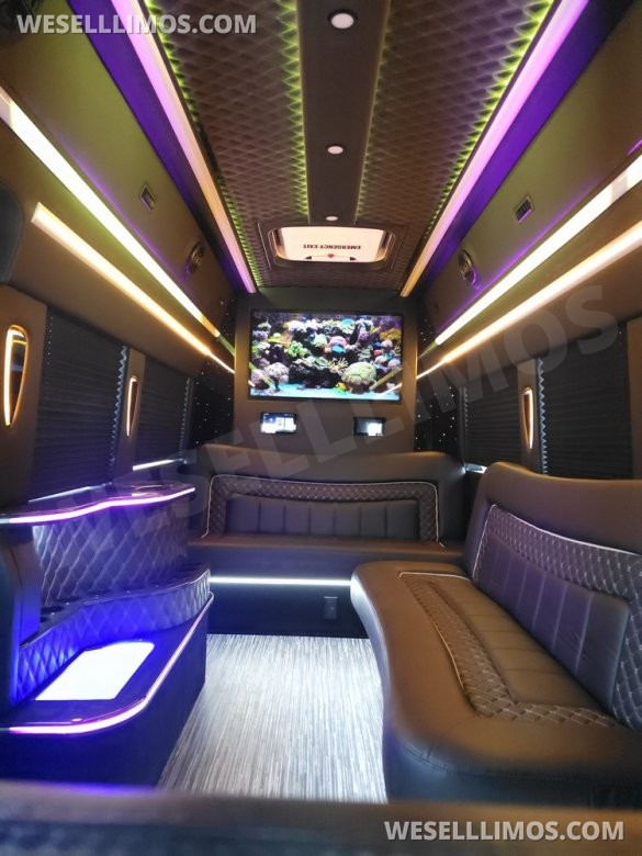 2023 Global Motor Coach Ford Transit Limo - Only 2,900 Miles