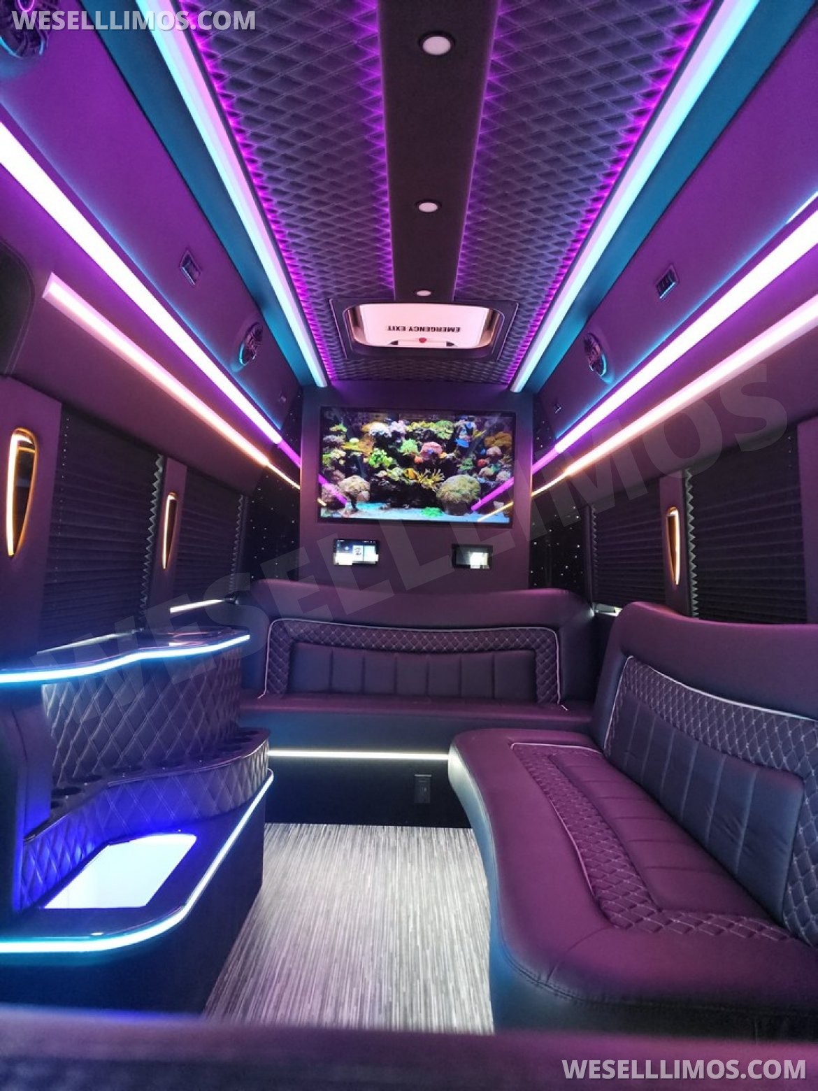 Photo of Limo Bus for sale: 2023 Ford Transit 350 Dual Rear Wheels 264" by Global Motor Coach