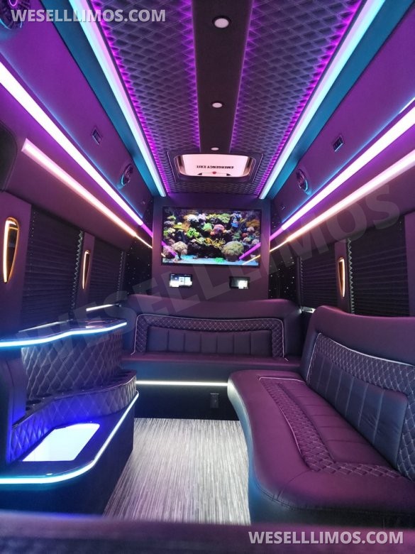 2023 Global Motor Coach Ford Transit Limo - Only 2,900 Miles