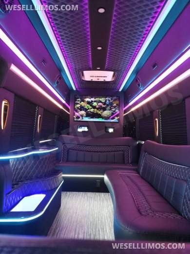 2023 Global Motor Coach Ford Transit Limo - Only 2,900 Miles