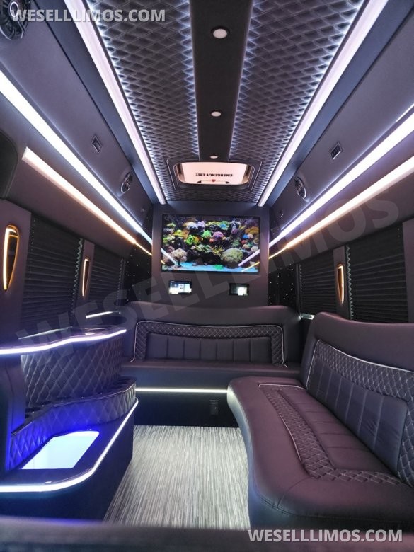 2023 Global Motor Coach Ford Transit Limo - Only 2,900 Miles