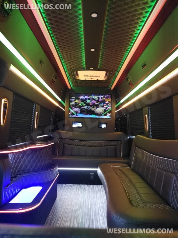 2023 Global Motor Coach Ford Transit Limo - Only 2,900 Miles