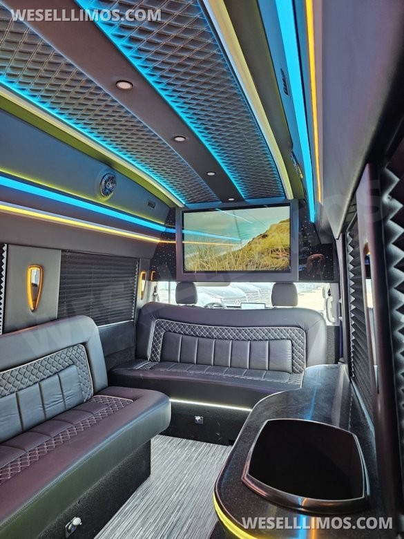 2023 Global Motor Coach Ford Transit Limo - Only 2,900 Miles