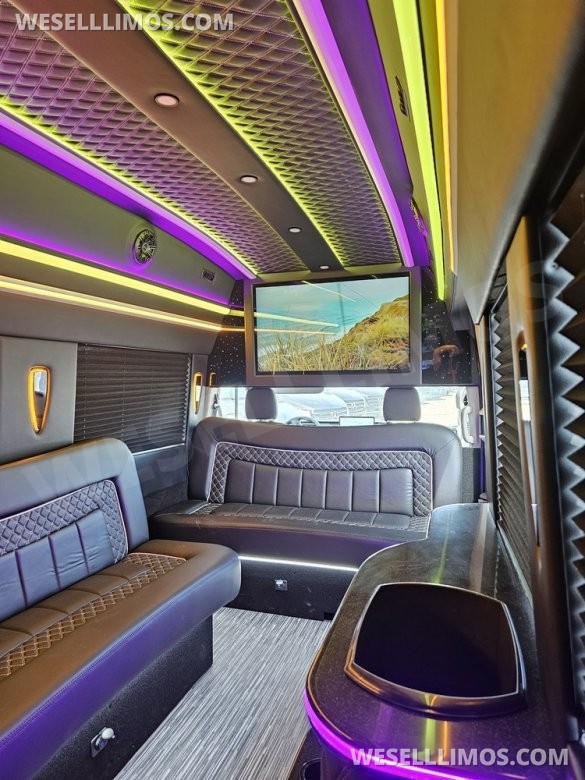 2023 Global Motor Coach Ford Transit Limo - Only 2,900 Miles