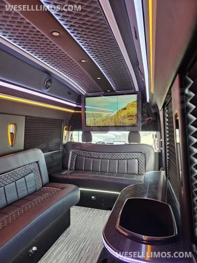 2023 Global Motor Coach Ford Transit Limo - Only 2,900 Miles