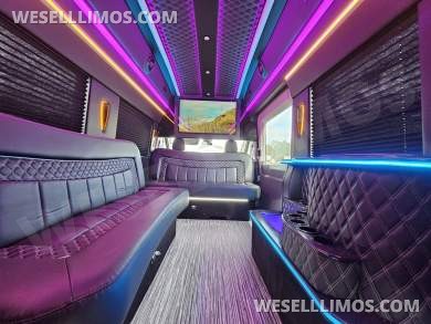 2023 Global Motor Coach Ford Transit Limo - Only 2,900 Miles