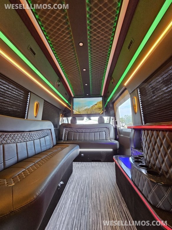 2023 Global Motor Coach Ford Transit Limo - Only 2,900 Miles