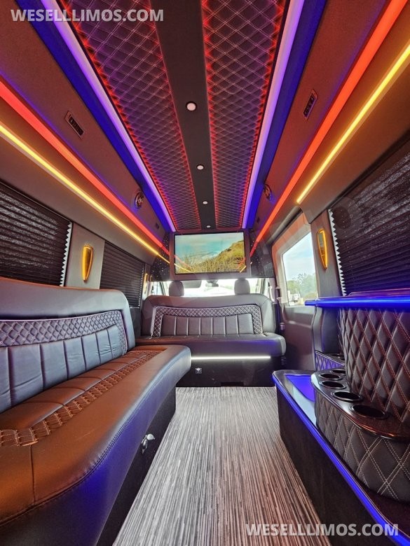 2023 Global Motor Coach Ford Transit Limo - Only 2,900 Miles