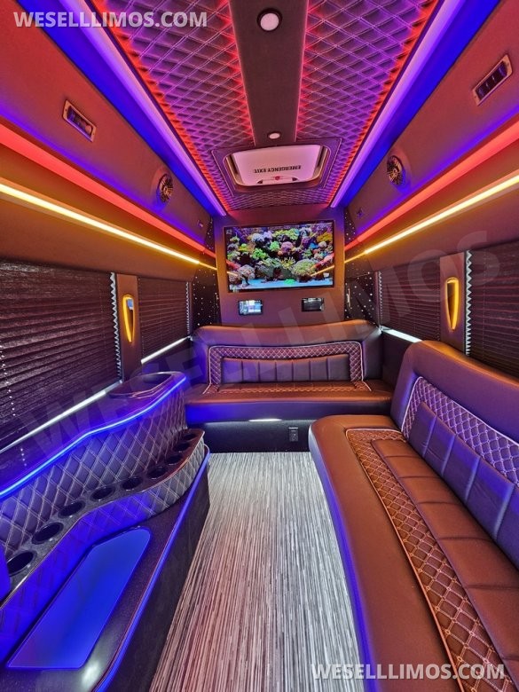 2023 Global Motor Coach Ford Transit Limo - Only 2,900 Miles