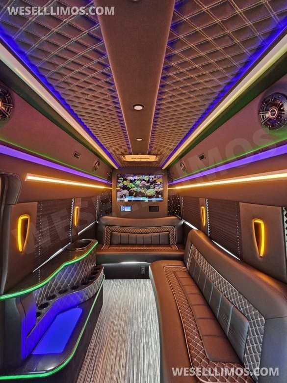 2023 Global Motor Coach Ford Transit Limo - Only 2,900 Miles