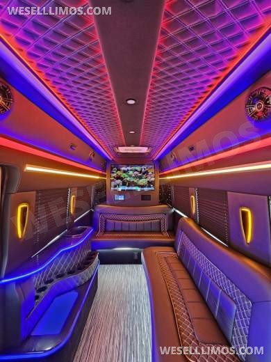 2023 Global Motor Coach Ford Transit Limo - Only 2,900 Miles