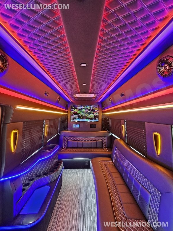 2023 Global Motor Coach Ford Transit Limo - Only 2,900 Miles