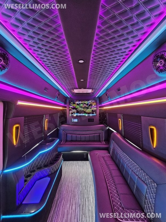 2023 Global Motor Coach Ford Transit Limo - Only 2,900 Miles