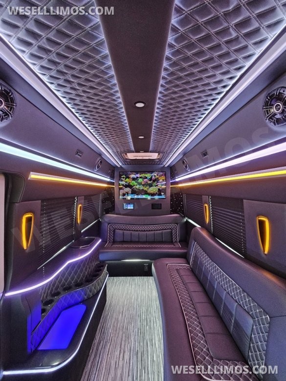 2023 Global Motor Coach Ford Transit Limo - Only 2,900 Miles