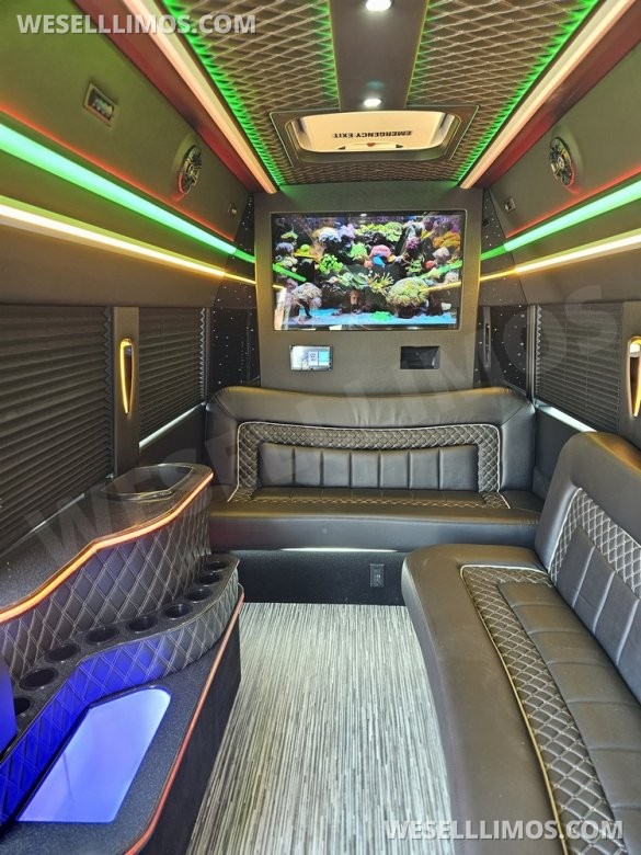 2023 Global Motor Coach Ford Transit Limo - Only 2,900 Miles