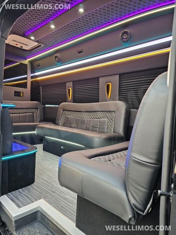2023 Global Motor Coach Ford Transit Limo - Only 2,900 Miles