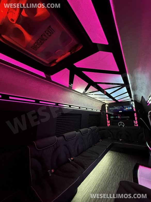 14 Passenger Limousine Mercedes-Benz Sprinter