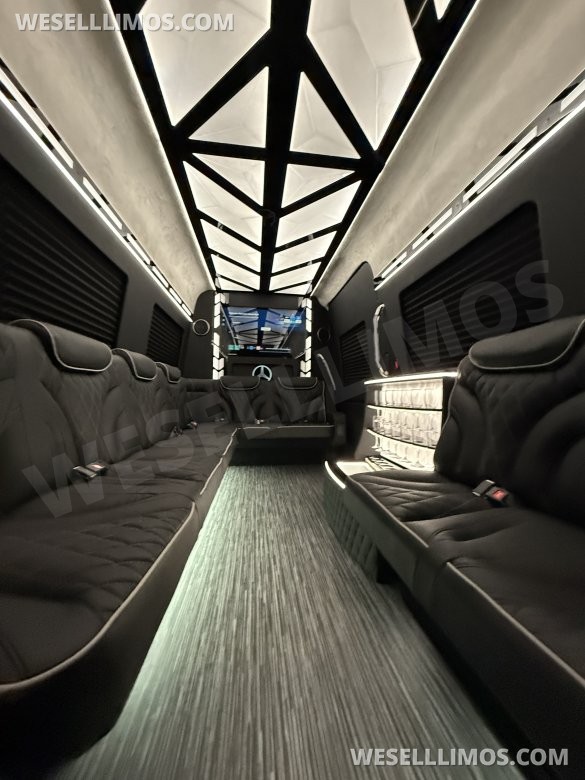 14 Passenger Limousine Mercedes-Benz Sprinter
