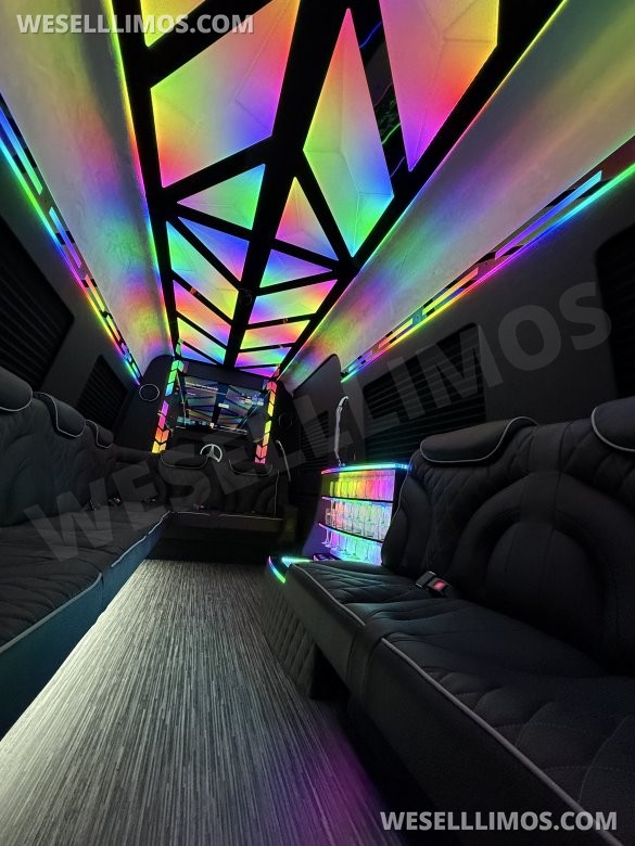 14 Passenger Limousine Mercedes-Benz Sprinter