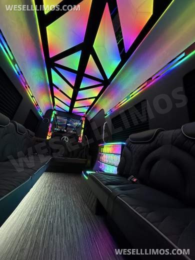 14 Passenger Limousine Mercedes-Benz Sprinter