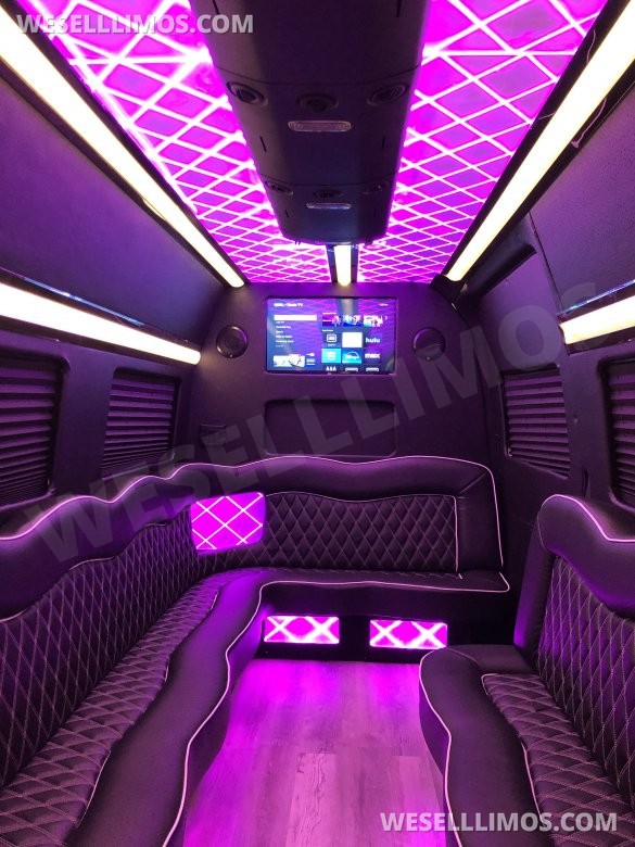 2024 Mercedes-Benz Sprinter party bus limo  Limo Bus