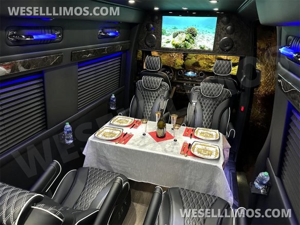 2023 Auto Elite Road Liner 737 9 Passenger Massive Trunk Mercedes-Benz Sprinter