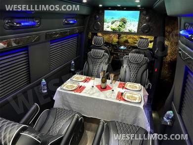 2023 Auto Elite Road Liner 737 9 Passenger Massive Trunk Mercedes-Benz Sprinter
