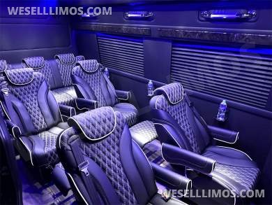 2023 Auto Elite Road Liner 737 9 Passenger Massive Trunk Mercedes-Benz Sprinter