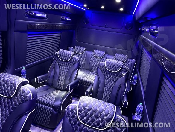2023 Auto Elite Road Liner 737 9 Passenger Massive Trunk Mercedes-Benz Sprinter
