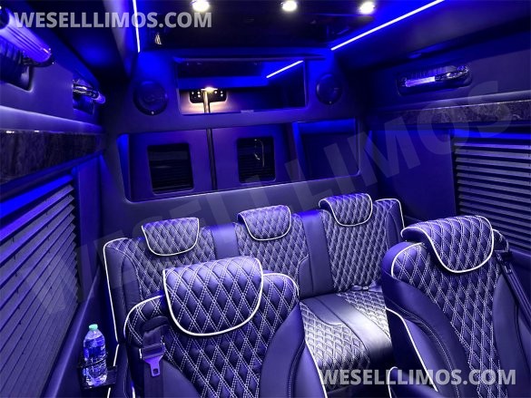2023 Auto Elite Road Liner 737 9 Passenger Massive Trunk Mercedes-Benz Sprinter
