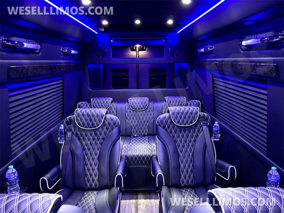 2023 Auto Elite Road Liner 737 9 Passenger Massive Trunk Mercedes-Benz Sprinter