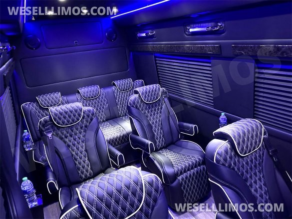 2023 Auto Elite Road Liner 737 9 Passenger Massive Trunk Mercedes-Benz Sprinter