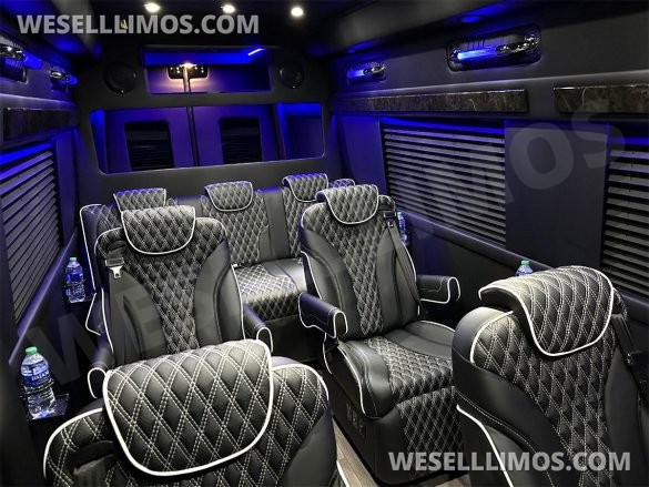 2023 Auto Elite Road Liner 737 9 Passenger Massive Trunk Mercedes-Benz Sprinter