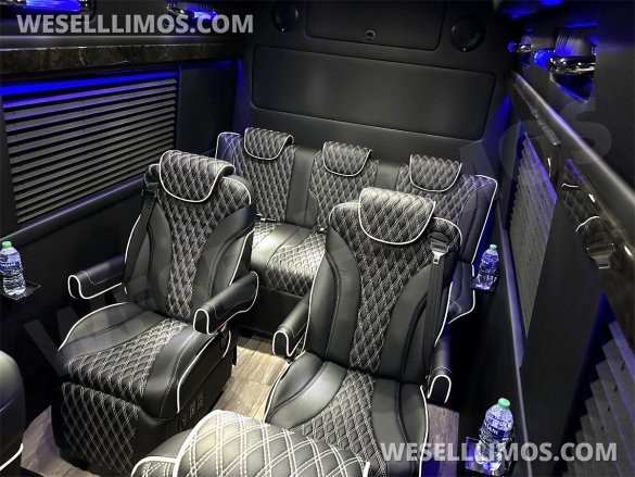 2023 Auto Elite Road Liner 737 9 Passenger Massive Trunk Mercedes-Benz Sprinter