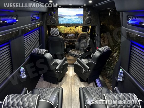 2023 Auto Elite Road Liner 737 9 Passenger Massive Trunk Mercedes-Benz Sprinter