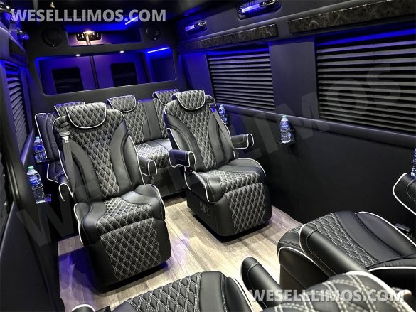 2023 Auto Elite Road Liner 737 9 Passenger Massive Trunk Mercedes-Benz Sprinter