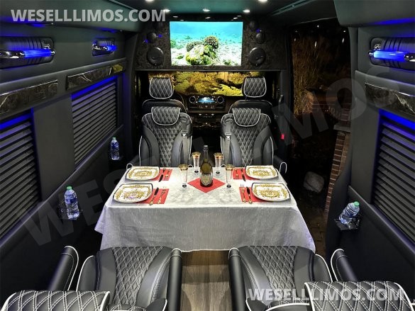 2023 Auto Elite Road Liner 737 9 Passenger Massive Trunk Mercedes-Benz Sprinter