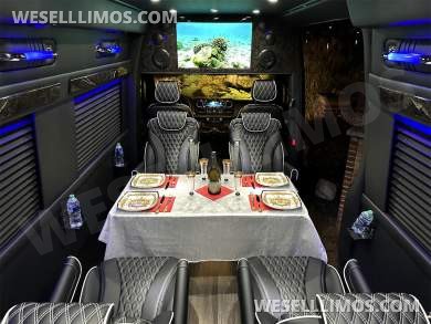 2023 Auto Elite Road Liner 737 9 Passenger Massive Trunk Mercedes-Benz Sprinter