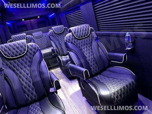 2023 Auto Elite Road Liner 737 9 Passenger Massive Trunk Mercedes-Benz Sprinter