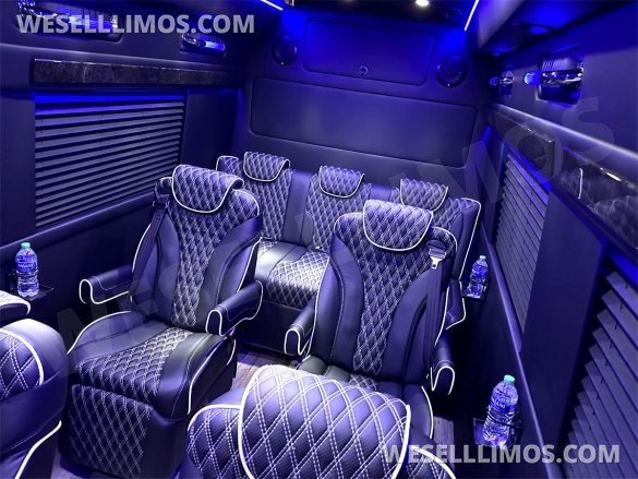2023 Auto Elite Road Liner 737 9 Passenger Massive Trunk Mercedes-Benz Sprinter
