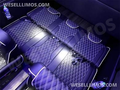 2023 Auto Elite Road Liner 737 9 Passenger Massive Trunk Mercedes-Benz Sprinter