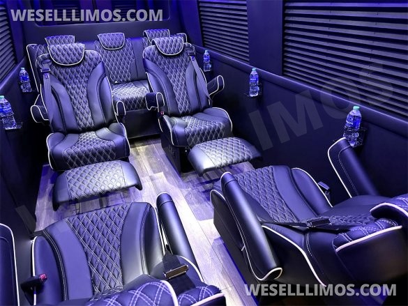 2023 Auto Elite Road Liner 737 9 Passenger Massive Trunk Mercedes-Benz Sprinter