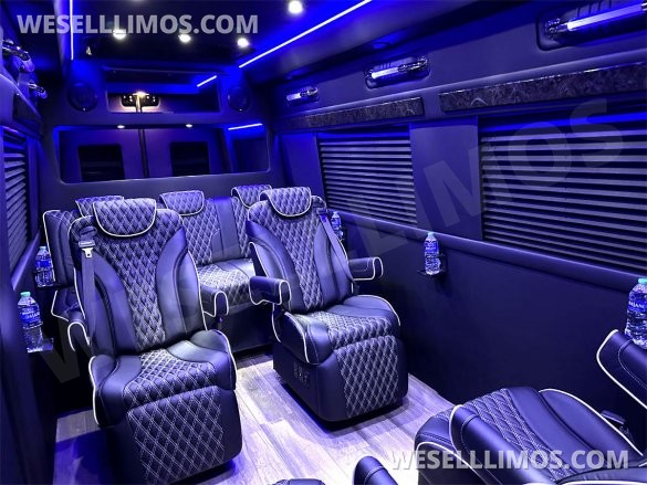 2023 Auto Elite Road Liner 737 9 Passenger Massive Trunk Mercedes-Benz Sprinter