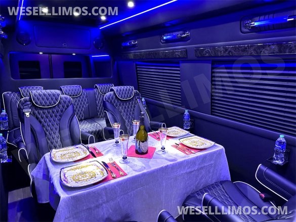 2023 Auto Elite Road Liner 737 9 Passenger Massive Trunk Mercedes-Benz Sprinter
