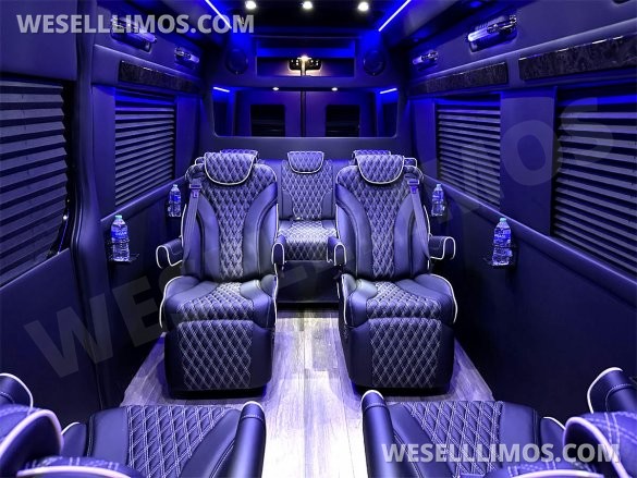 2023 Auto Elite Road Liner 737 9 Passenger Massive Trunk Mercedes-Benz Sprinter