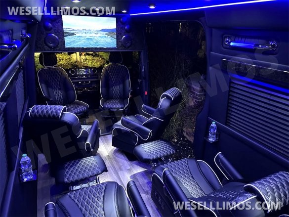 2023 Auto Elite Road Liner 737 9 Passenger Massive Trunk Mercedes-Benz Sprinter
