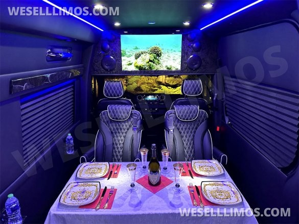 2023 Auto Elite Road Liner 737 9 Passenger Massive Trunk Mercedes-Benz Sprinter